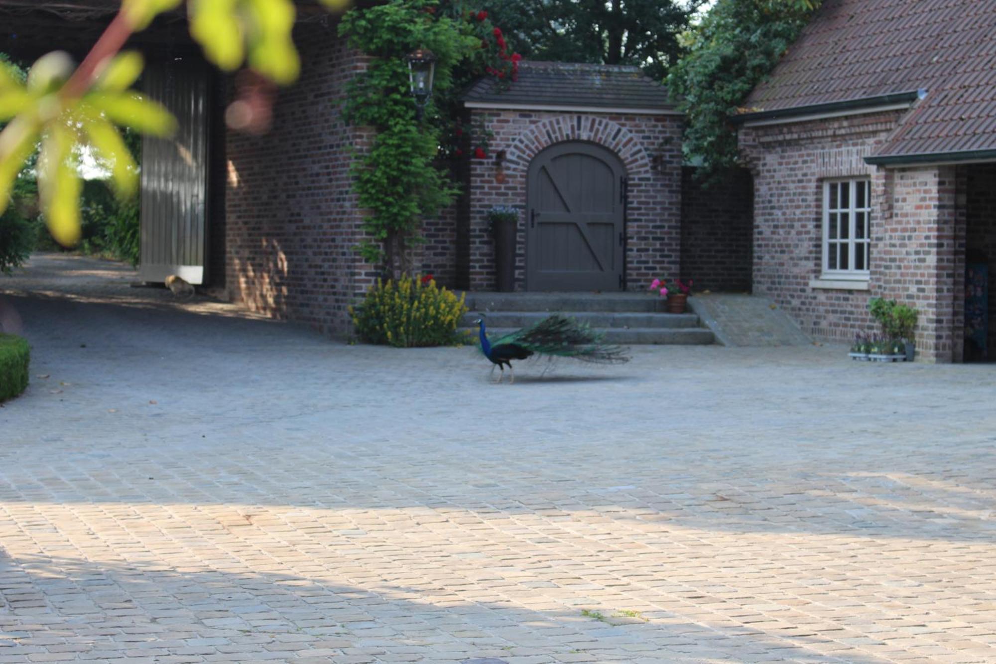 Imagine B&B Wortegem Ngoại thất bức ảnh